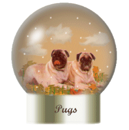Globes chiens globes