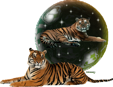 Globes tigres globes