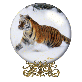 Globes tigres globes