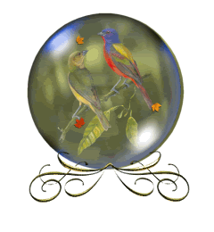 Oiseaux globes