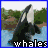 Baleines icones gifs