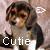 Chiot icones gifs