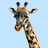 Girafes icones gifs