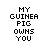 Guinee porc icones gifs