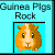 Guinee porc