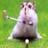 Hamsters icones gifs