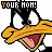 Daffy duck