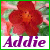 Addie icones gifs