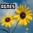Agnes icones gifs