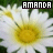 Amanda icones gifs