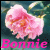 Bonnie icones gifs