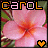 Carol icones gifs