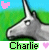 Charlie icones gifs
