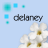 Delaney icones gifs
