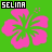 Selina icones gifs