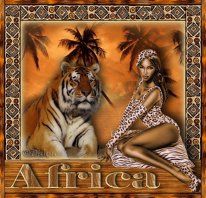 Afrique images