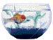 Aquarium images