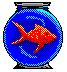 Aquarium images