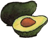 Avocado images