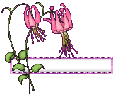 Blinkies fleurs vident images
