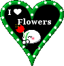 Blinkies fleurs