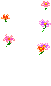 Bouees fleurs