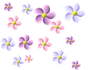 Bouees fleurs
