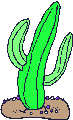 Cactus images