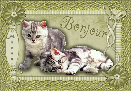 Chats images