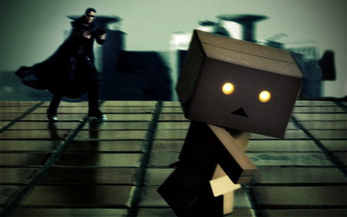 Danbo images