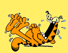Garfield images