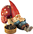 Gnomes images