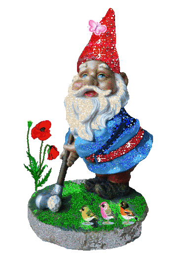 Gnomes images