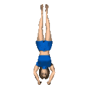 Gymnastique images