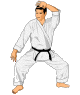 Judo images