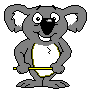 Koala images