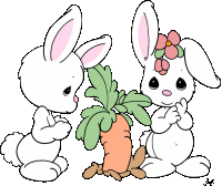 Lapins images