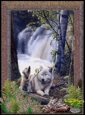 Loups images