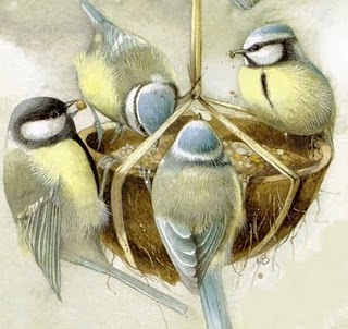 Oiseaux images