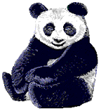 Panda images