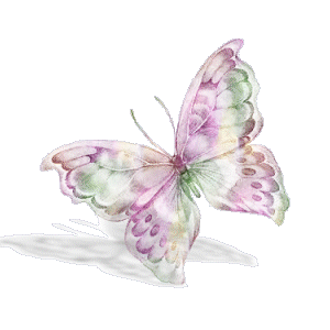 Papillons images