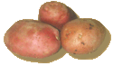 Pomme de terre images