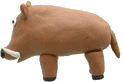 Porcs images