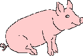 Porcs