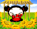 Pucca images