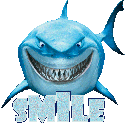 Requins images