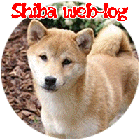 Shibas images