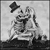 Squelette images
