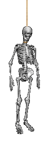 Squelette images