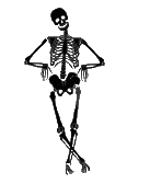 Squelettes images